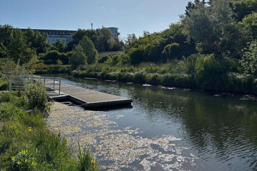Hafen 1 – Wohlfühloase mit hochwertige Ausstattung | Tageslichtbad | Offene Küche | Parkett | Aufzug
